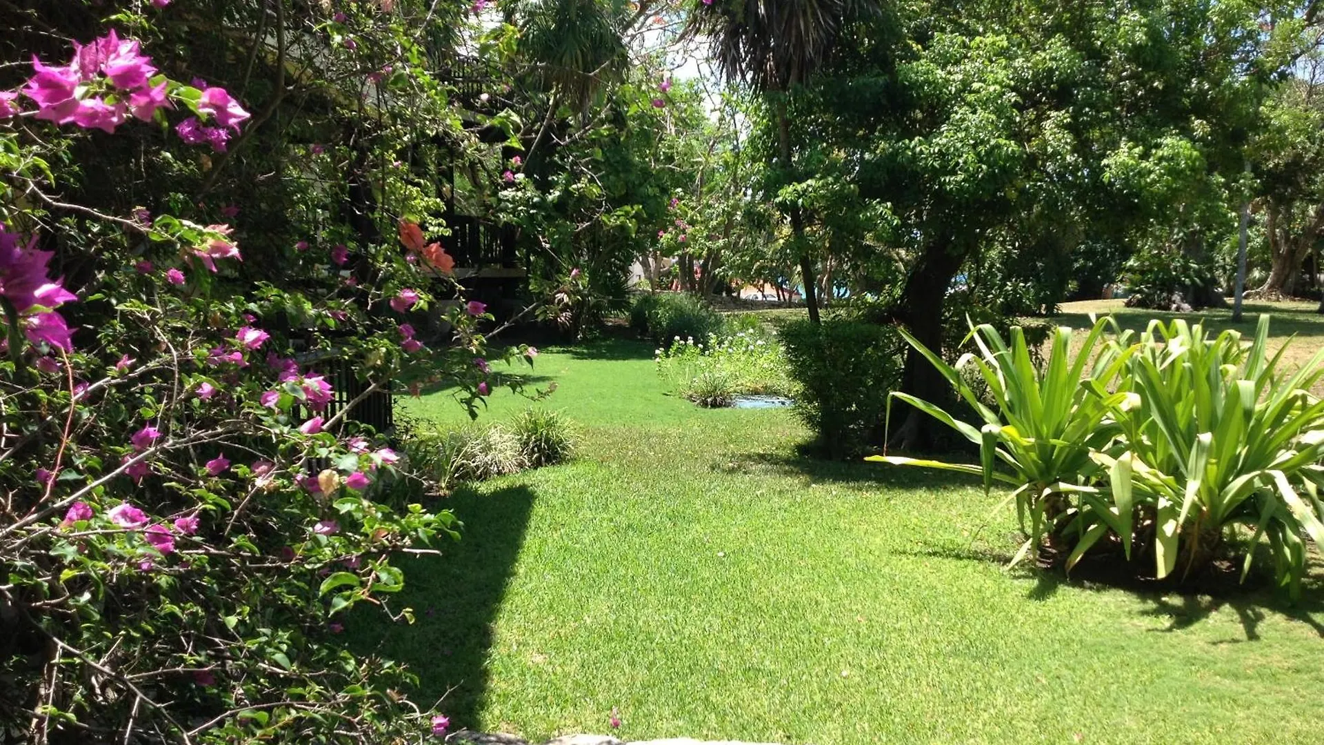 Apartmán Casa Armonia Playa del Carmen